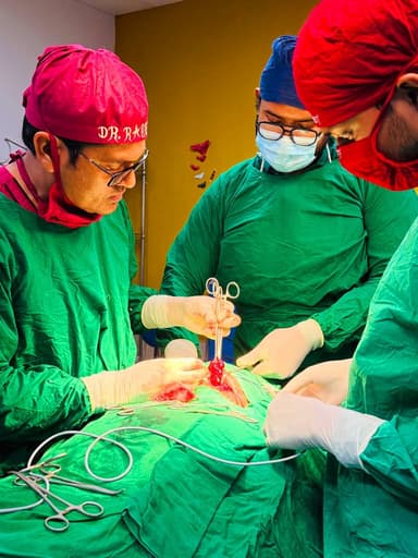 Otolaryngology (E.N.T.) activities