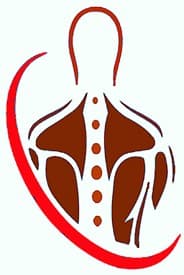 Anatomy icon