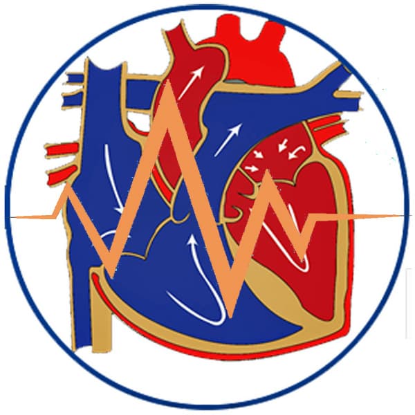 Cardiology icon