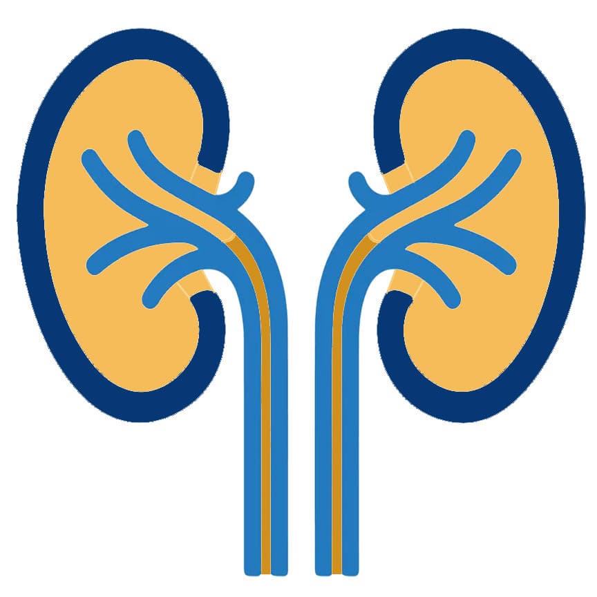 Nephrology & Dialysis icon
