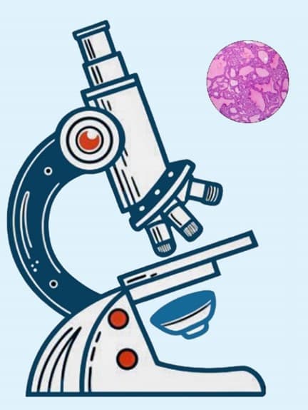 Pathology icon